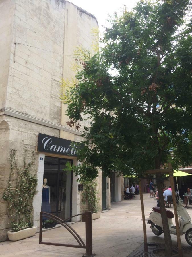 דירות Saint-Rémy-de-Provence Nostradamus מראה חיצוני תמונה